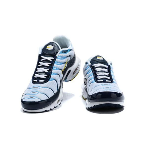 AIR MAX PLUS TN ‘WHITE NAVY GOLD’