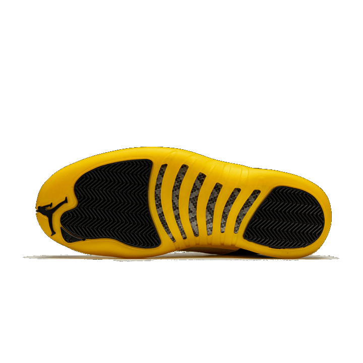 BLACK UNIVERSITY GOLD